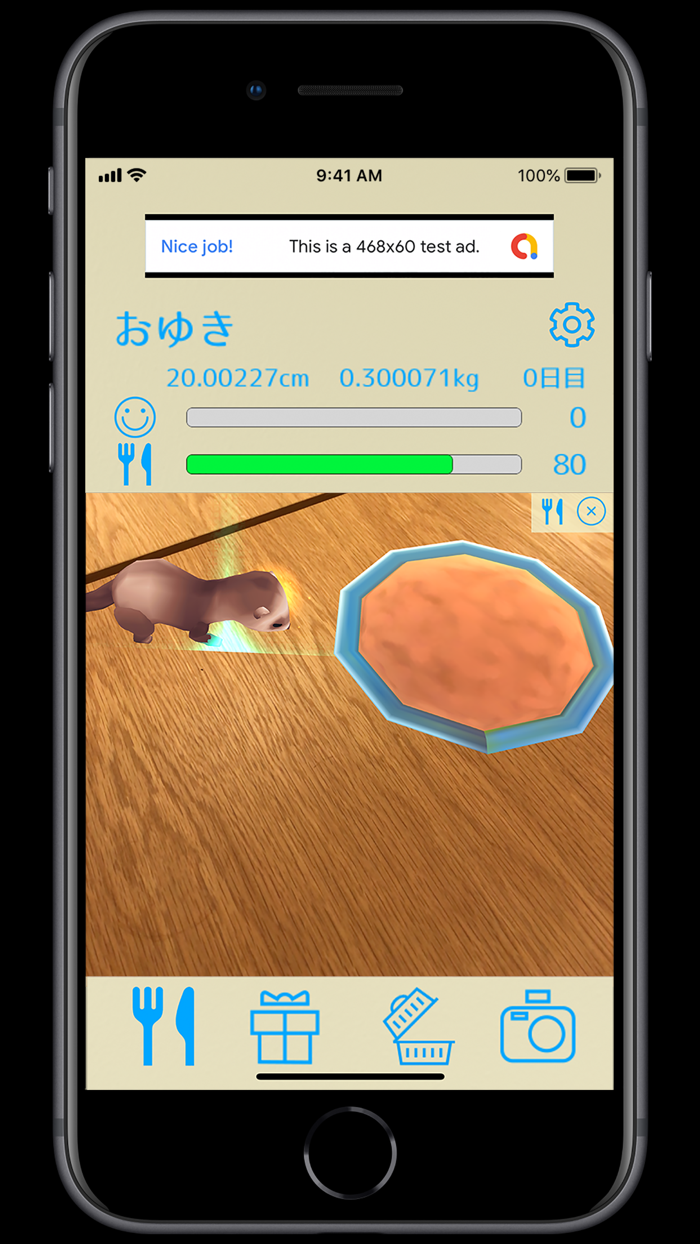 フェレットといっしょ