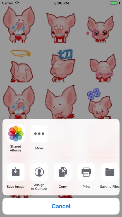 Baby Pig