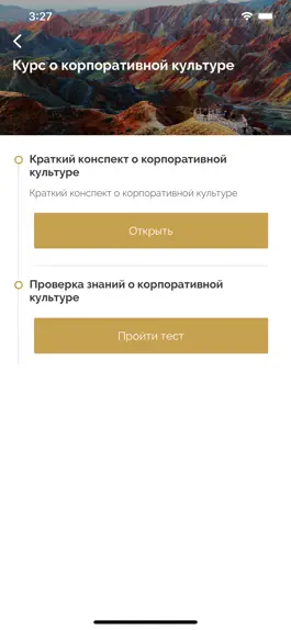 Game screenshot Академия «Lidskae» apk