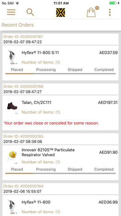 dXbSAFE Screenshot