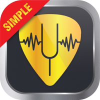Chromatic Instrument Tuner HZ