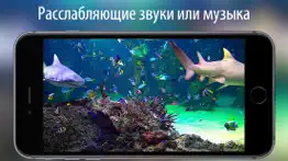 Аквариум hd + айфон картинки 3