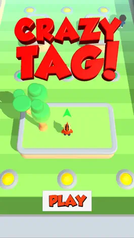 Game screenshot Crazy Tag! mod apk