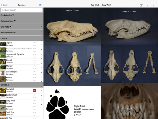Screenshot #5 pour Stuarts North American Mammals