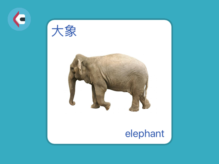 儿童有声英汉双语识字卡