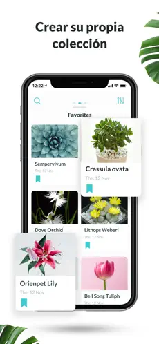 Capture 4 Plantyx - Identificar Plantas iphone