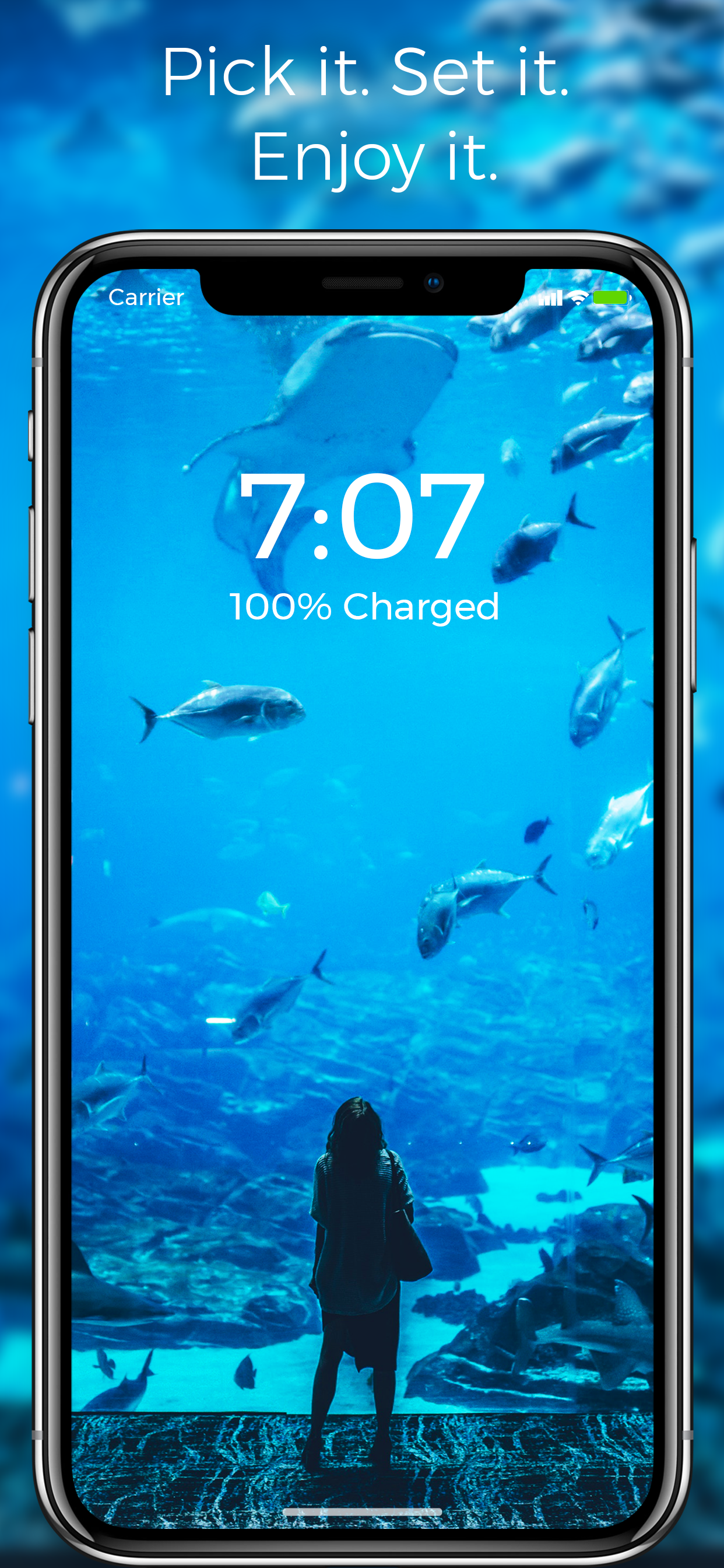 Live Wallpapers for Everyone screenshot 6