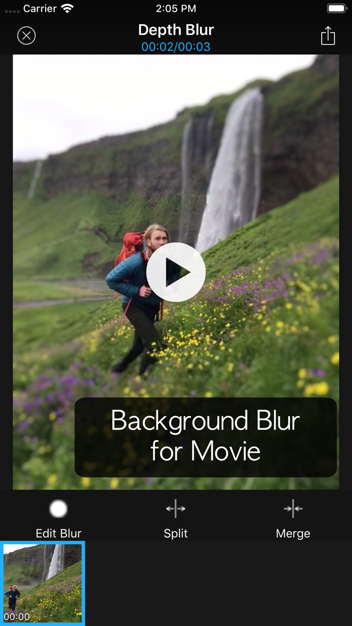 Depth Blur - Manual Portrait