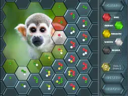 HexLogic - Zoo screenshot 10