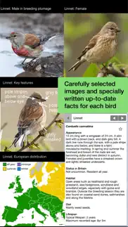 birds of britain lite problems & solutions and troubleshooting guide - 4