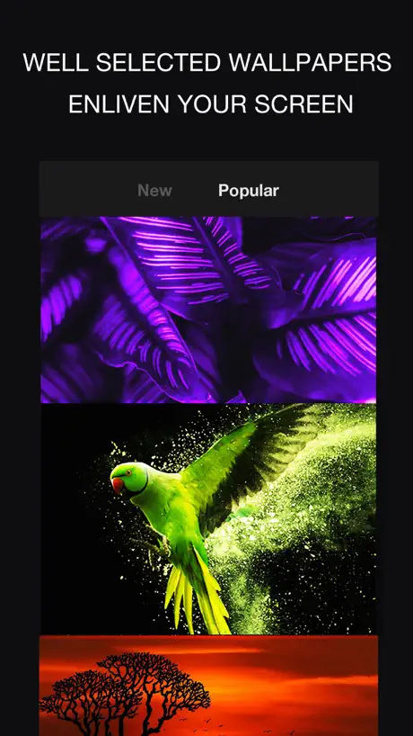 24KLiveWallpapers