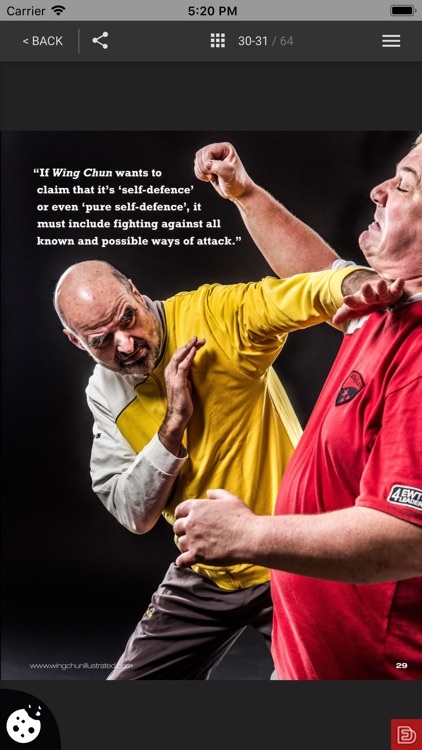 Wing Chun Illustrated screenshot-7