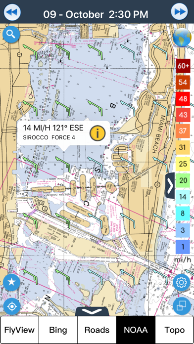 Wind forecast for Windgurus Screenshot