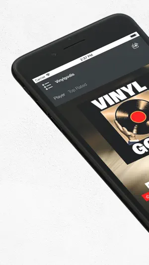 Vinylgodis Radio screenshot 1