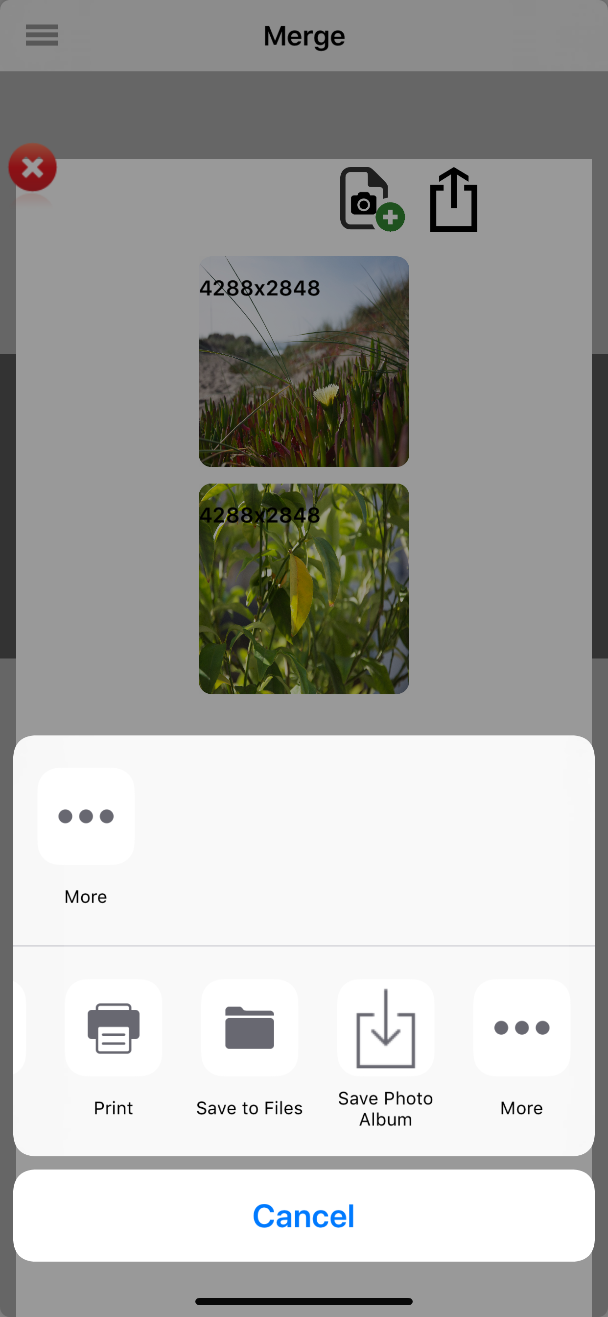 Easy Photo Merge