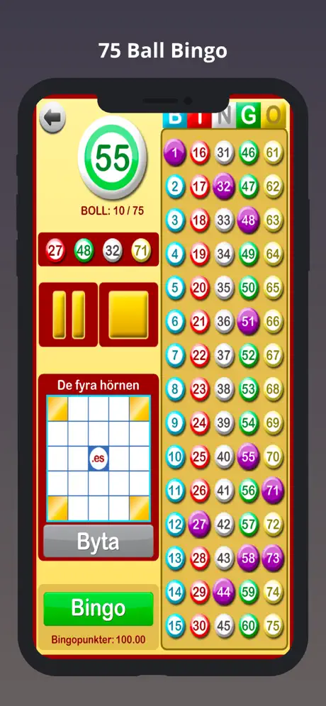 Bingo Hemma