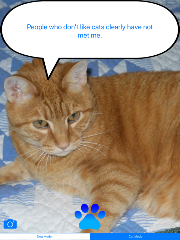 PeTalk iPad screenshot 2 - Entertainment app