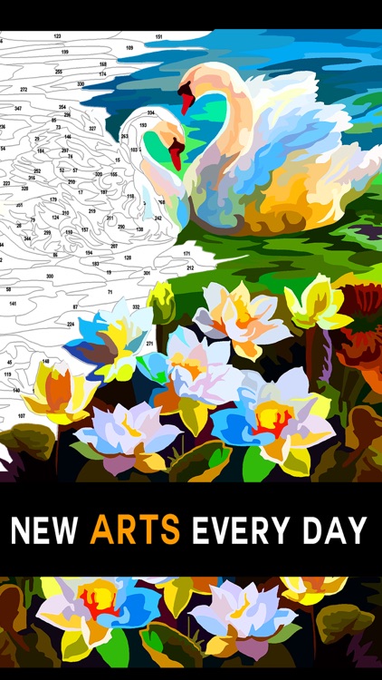 Color by Number Adult coloring