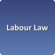 Labour Law Support