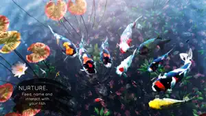 My Koi screenshot 4