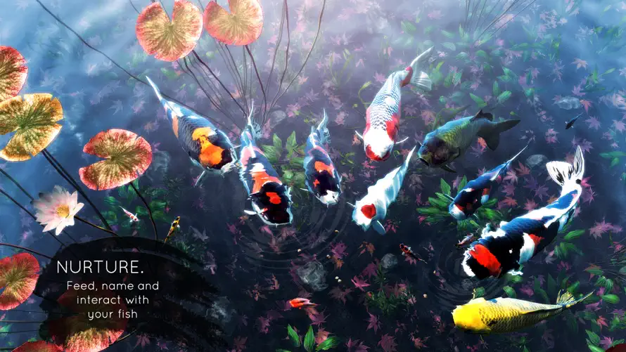 My Koi screenshot 4
