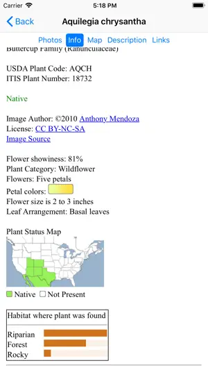 West Texas Wildflowers screenshot 4