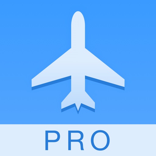 Pilot Assist Pro