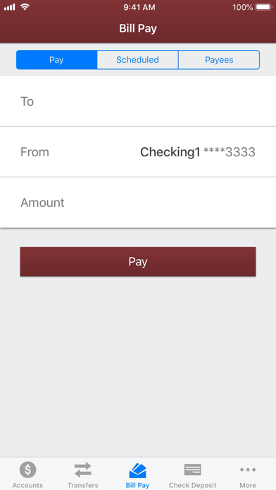 BankSouth Screenshot