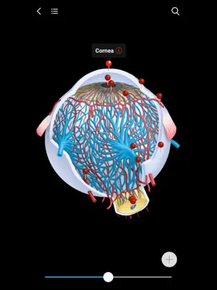 Captura 1 MedImaging-Radiology Made Easy iphone