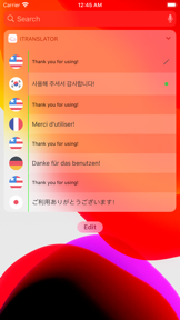 iTranslator Widget 2 screenshot