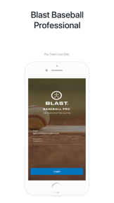 Blast Baseball Pro Team screenshot