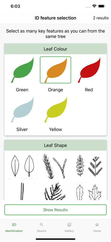 Australian Tree ID
