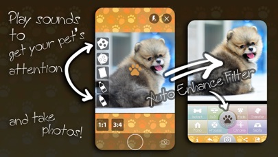 Screenshot #1 pour Camera Pets