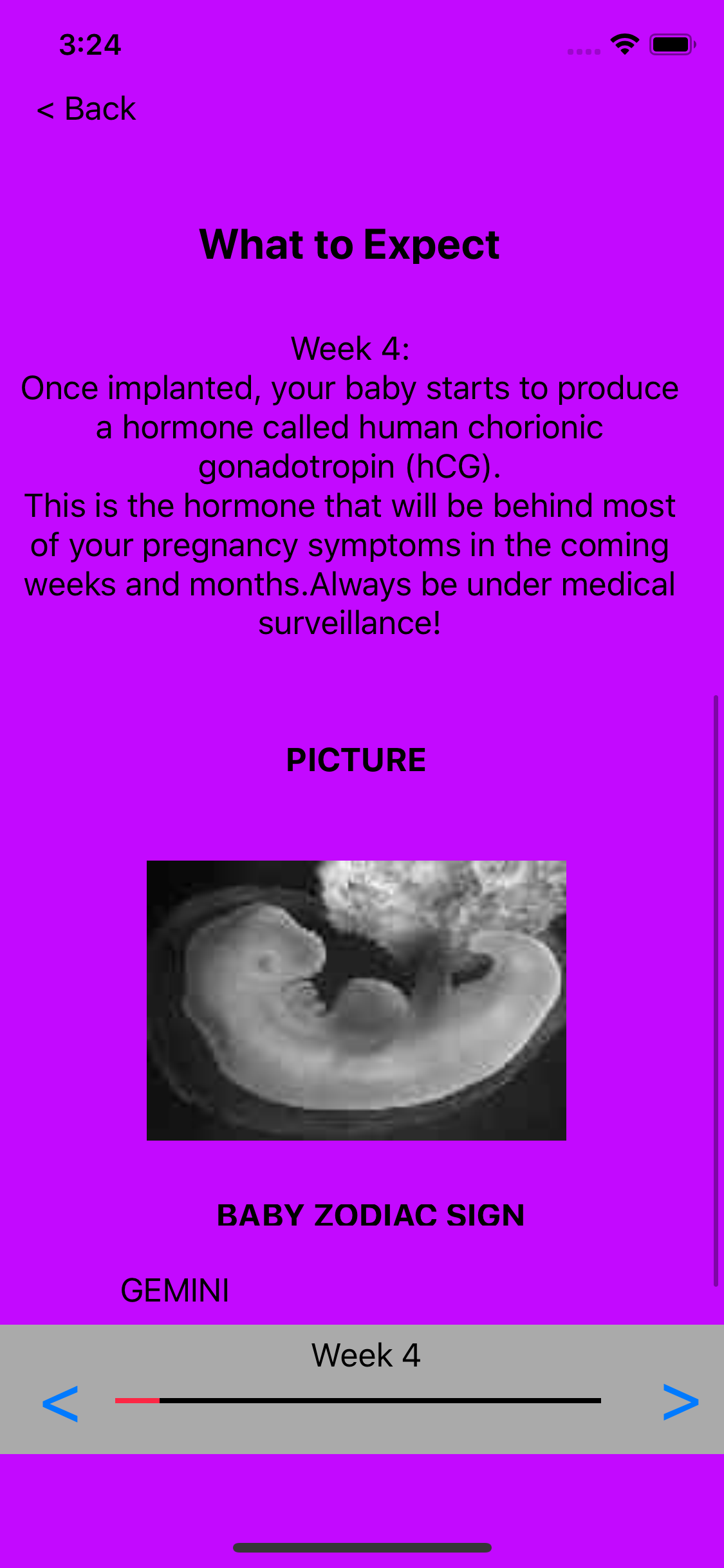 Pregnancy Guide and Calculator screenshot 4