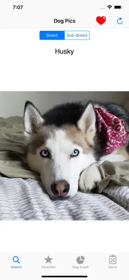 Game screenshot Dog Pics mod apk