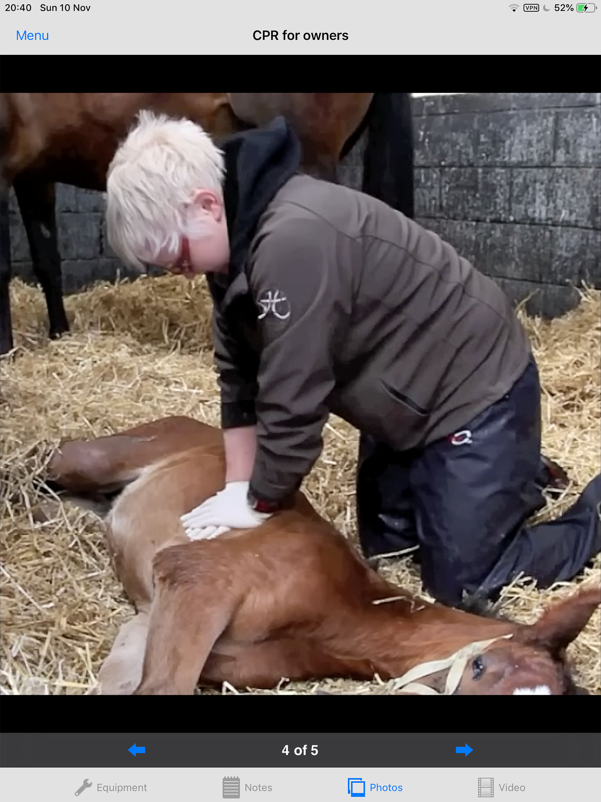 Foal CPR