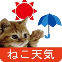 猫天気〜天気予報＆可愛い猫写真〜