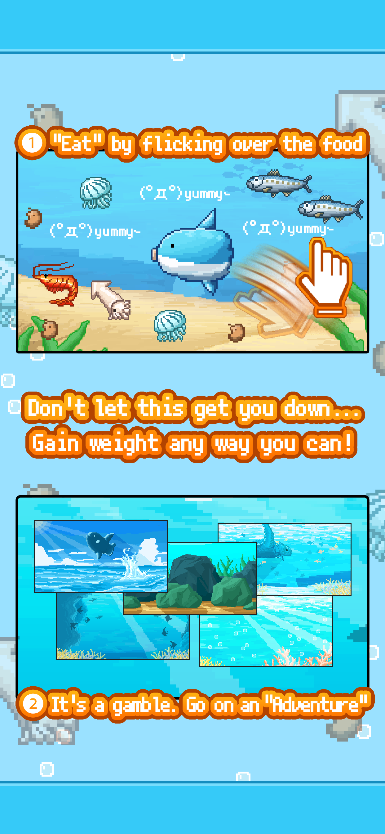 Survive! Mola Mola!