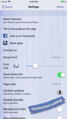 Quran Explorer screenshot 6
