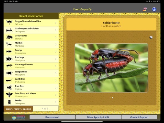Screenshot #4 pour EuroInsects