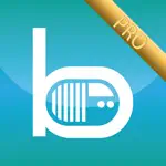 Bedr Pro alarm clock radio App Positive Reviews