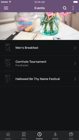 Game screenshot Courts of Praise apk