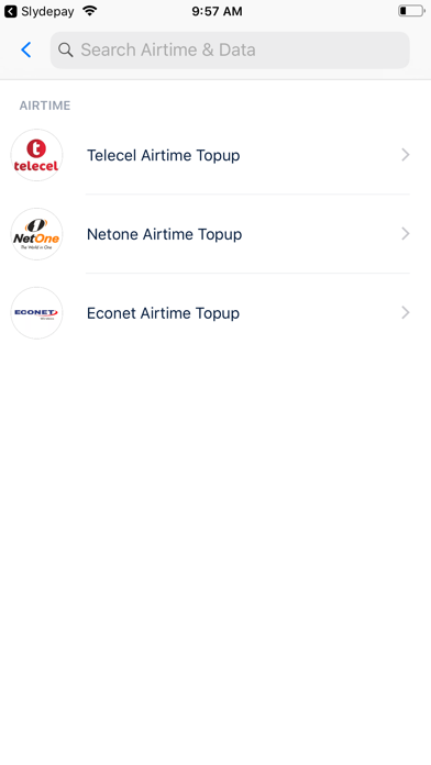 Slydepay Zimbabwe Screenshot