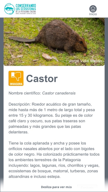 No Confundas screenshot-3