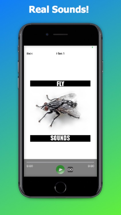 Fly Sounds!