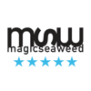 Magicseaweed - MSW 予測サーフ アートワーク
