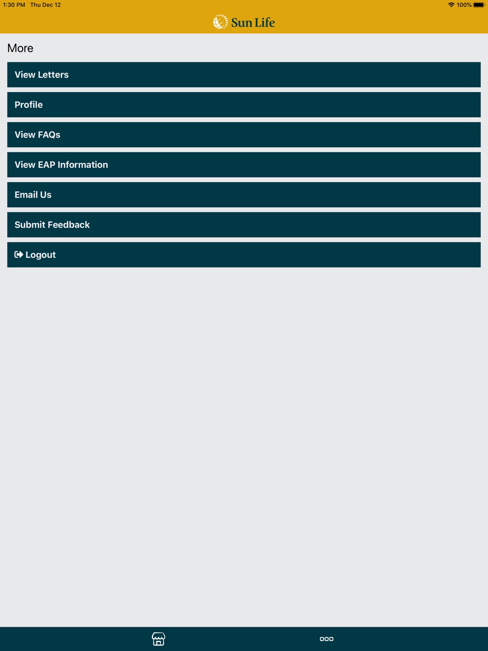 iPad screenshot