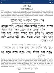 siddur – annotated edition айпад изображения 3