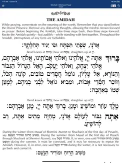 Siddur – Annotated Edition iPad image 3