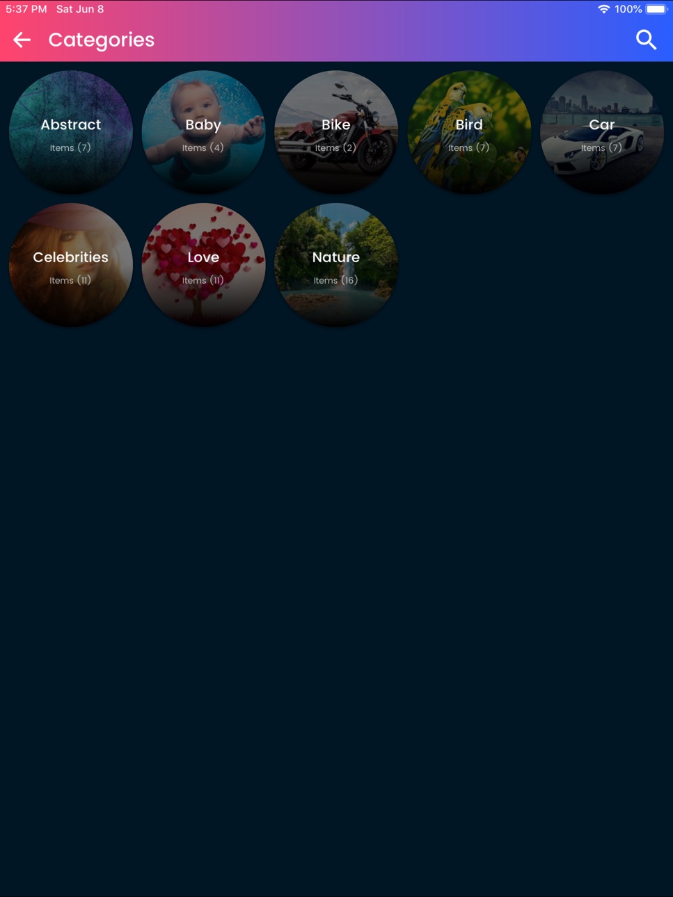 iPad screenshot